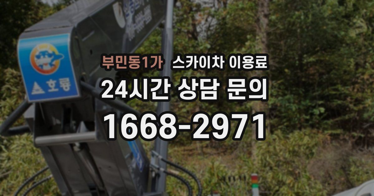 부민동1가 스카이차 이용료