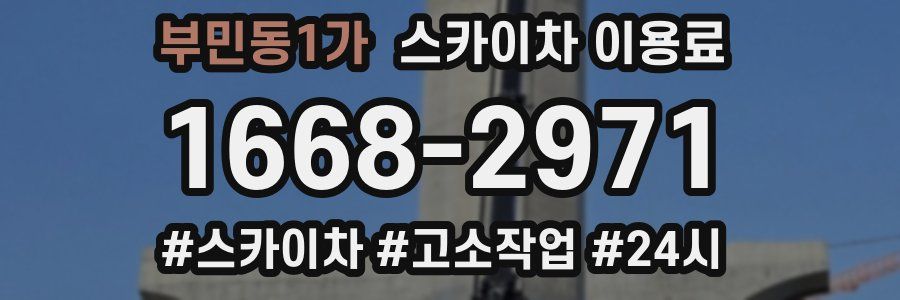 부민동1가 스카이차 이용료