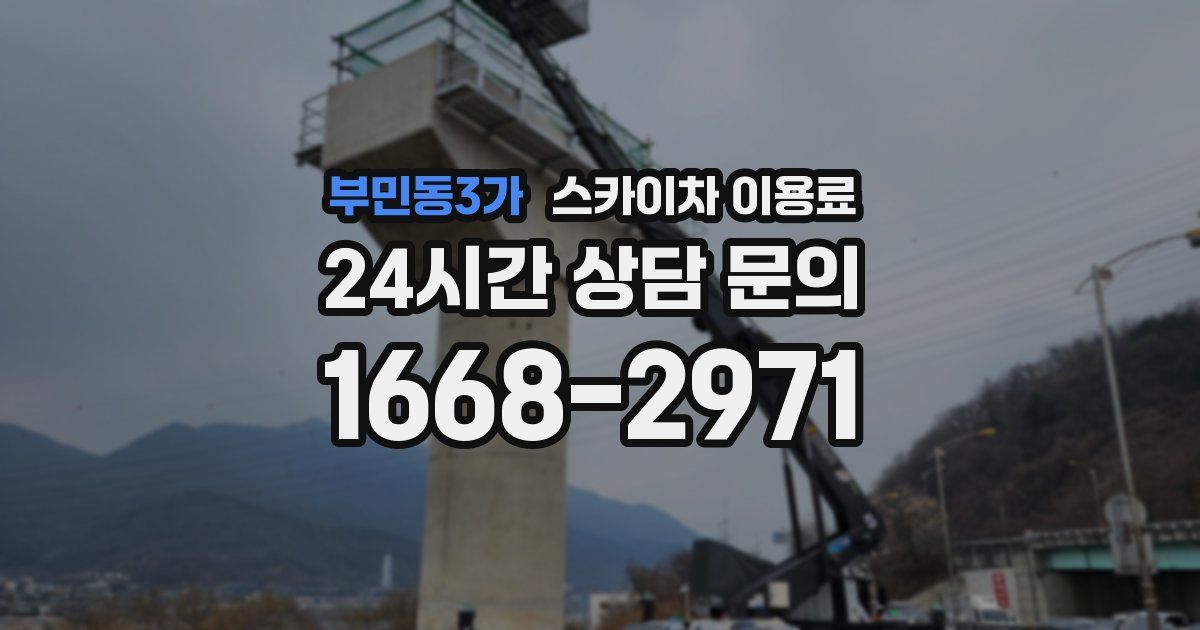 부민동3가 스카이차 이용료