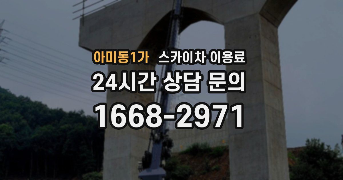 아미동1가 스카이차 이용료