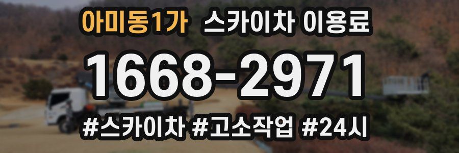 아미동1가 스카이차 이용료