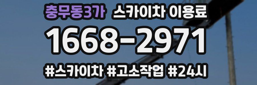 충무동3가 스카이차 이용료