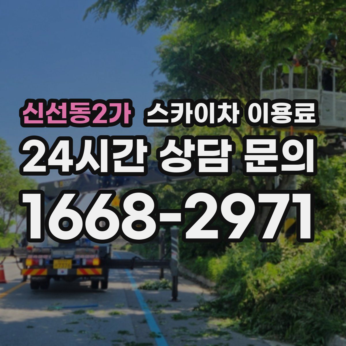 신선동2가 스카이차 이용료