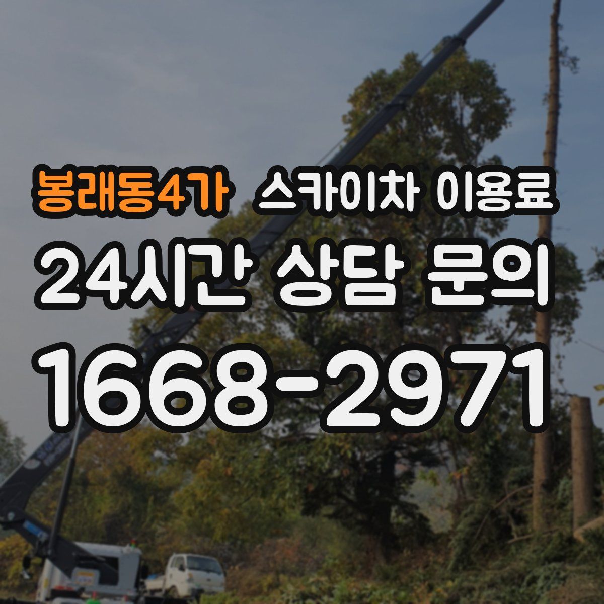 봉래동4가 스카이차 이용료