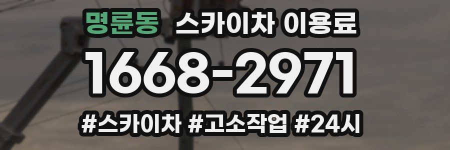 명륜동 스카이차 이용료