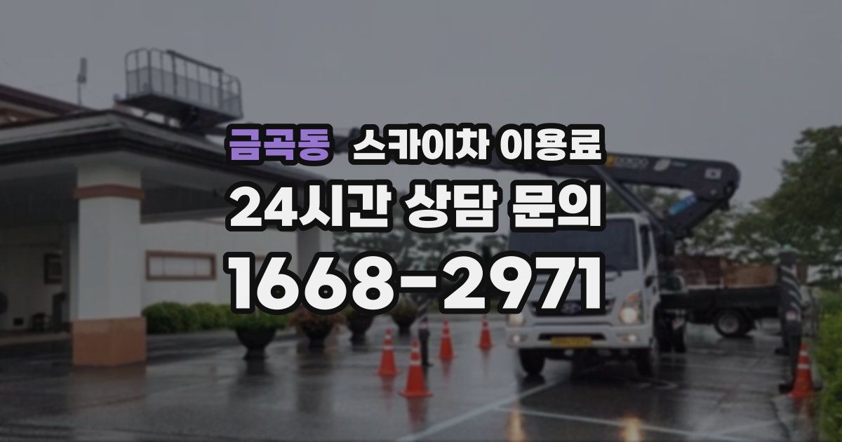 금곡동 스카이차 이용료