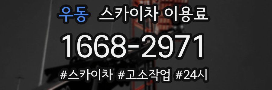 우동 스카이차 이용료