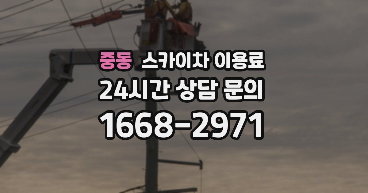 중동 스카이차 이용료