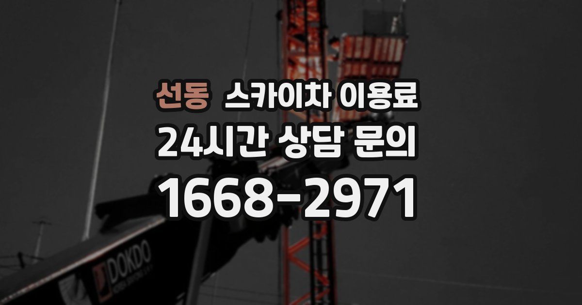 선동 스카이차 이용료