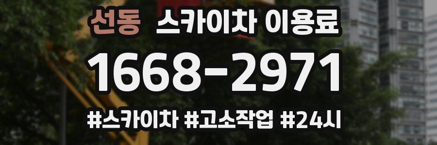 선동 스카이차 이용료