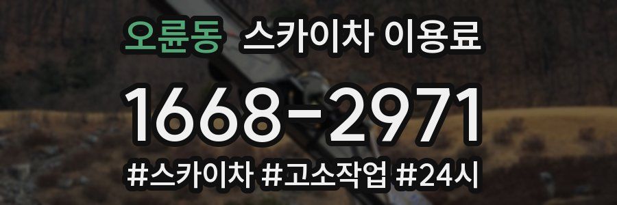 오륜동 스카이차 이용료