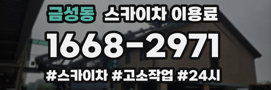 금성동 스카이차 이용료