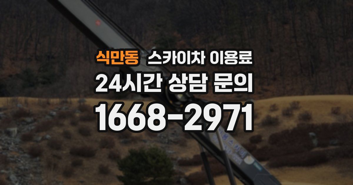 식만동 스카이차 이용료