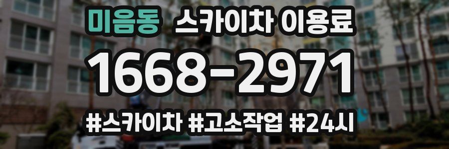 미음동 스카이차 이용료