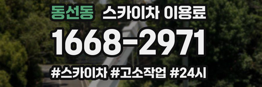 동선동 스카이차 이용료