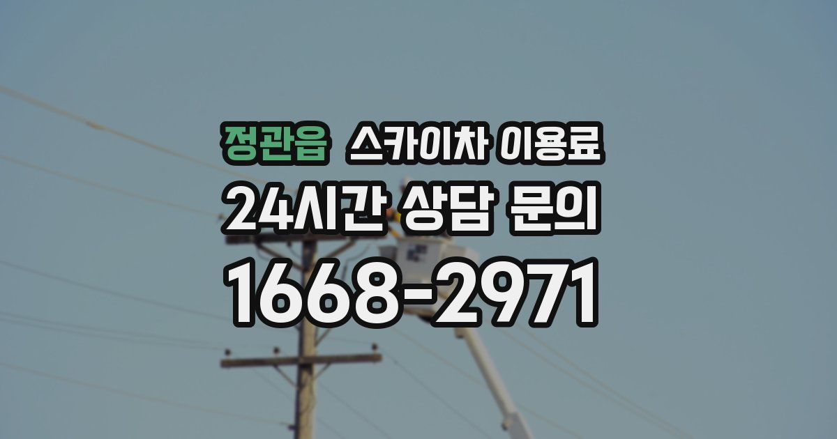 정관읍 스카이차 이용료