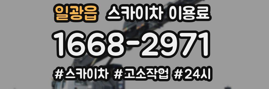 일광읍 스카이차 이용료