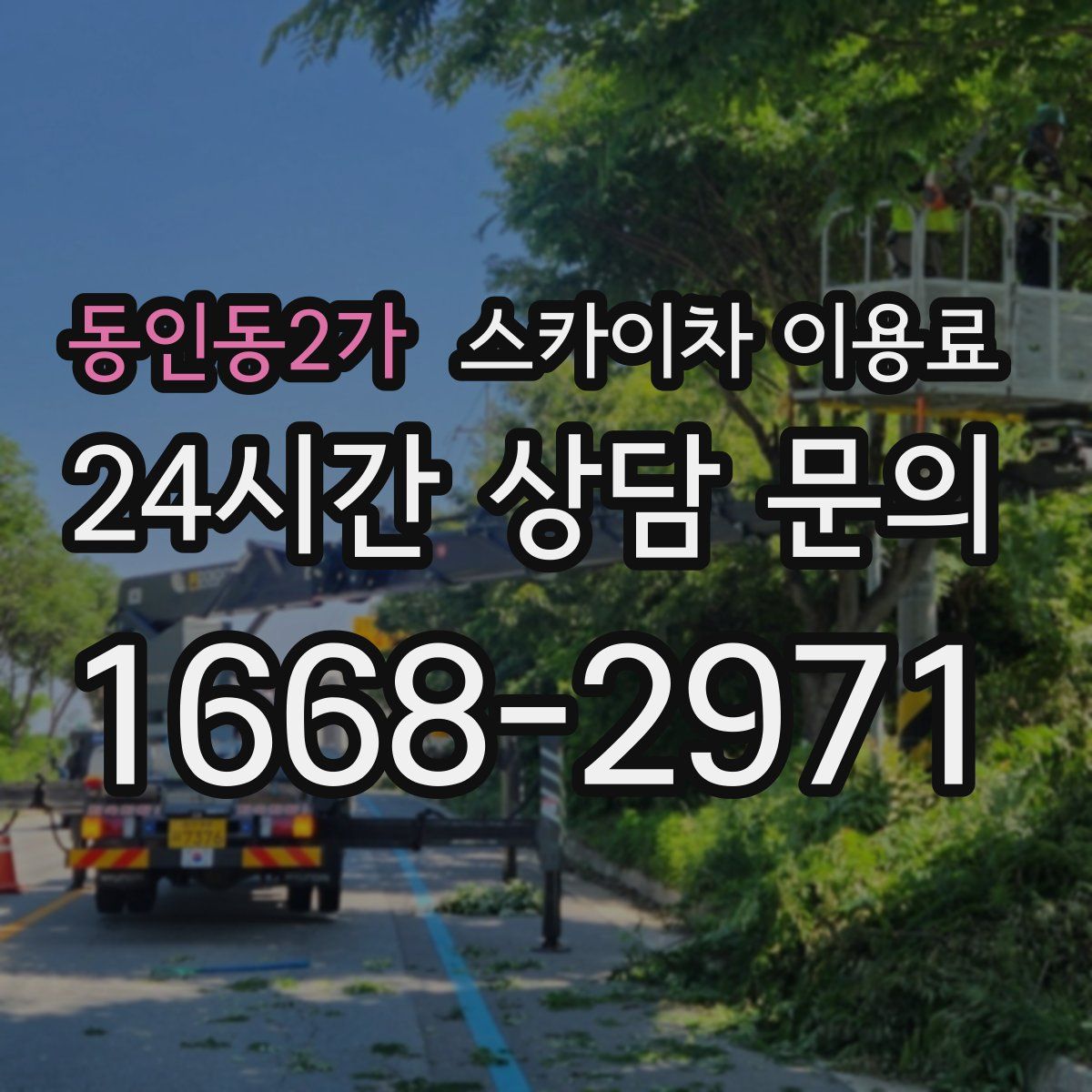 동인동2가 스카이차 이용료