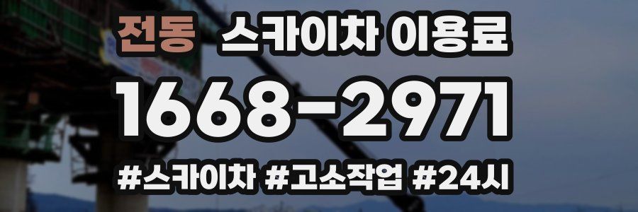 전동 스카이차 이용료