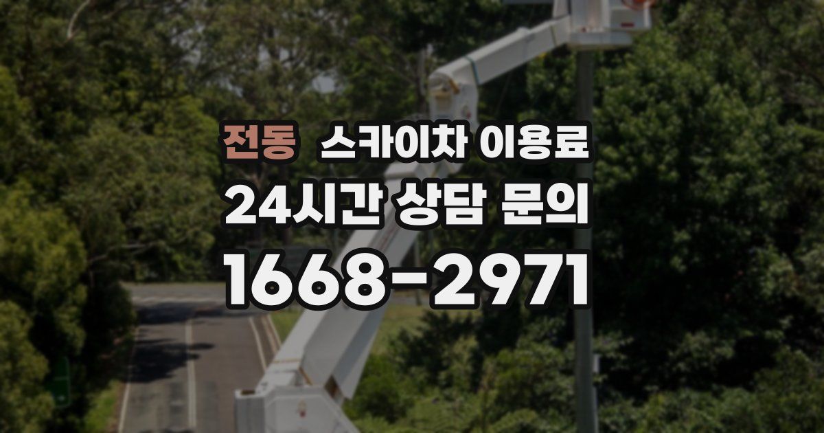 전동 스카이차 이용료