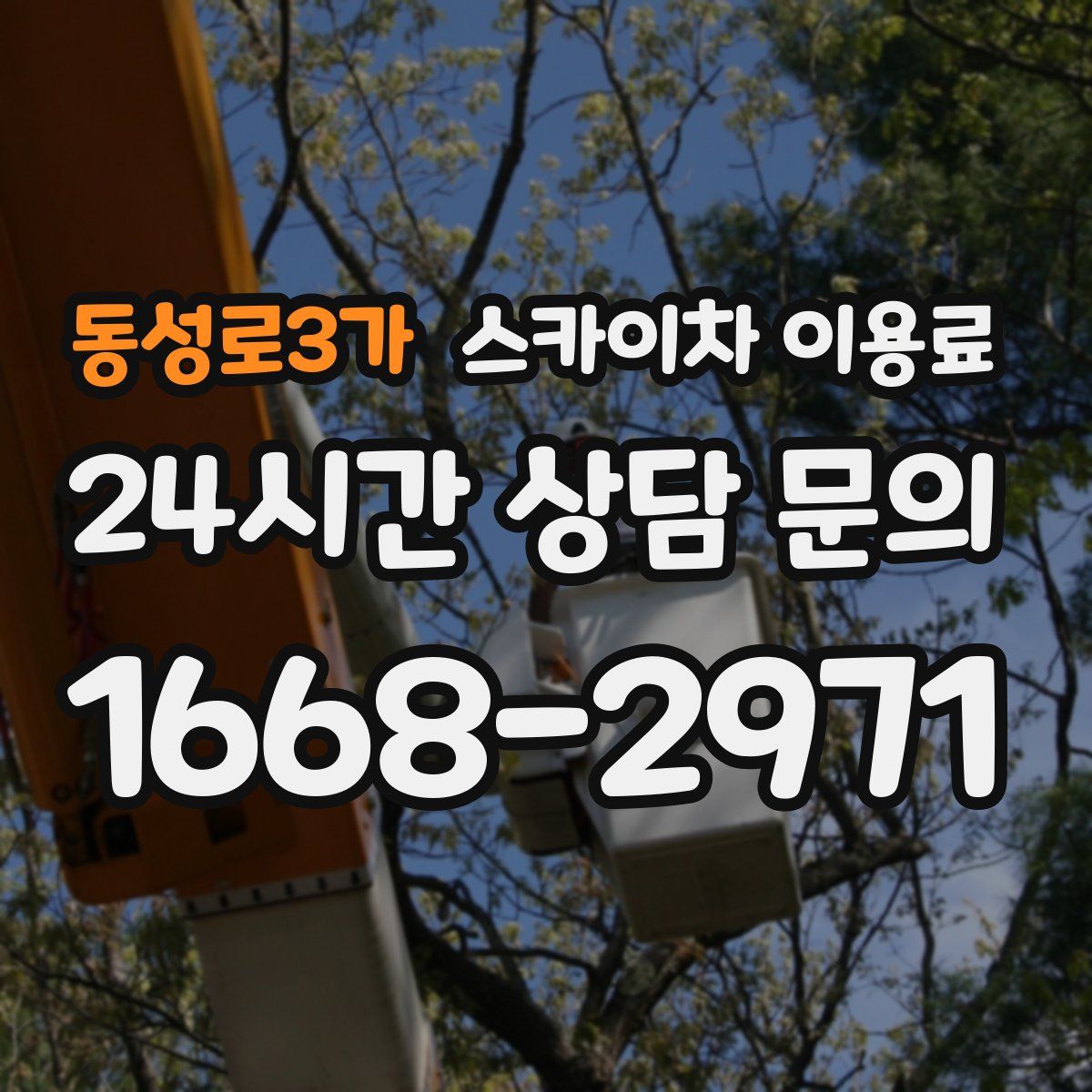 동성로3가 스카이차 이용료