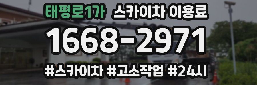 태평로1가 스카이차 이용료
