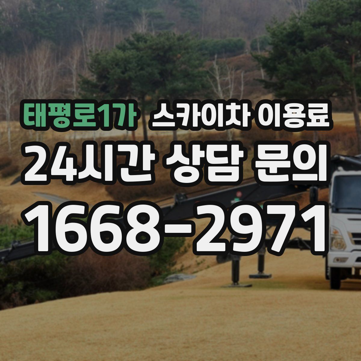태평로1가 스카이차 이용료
