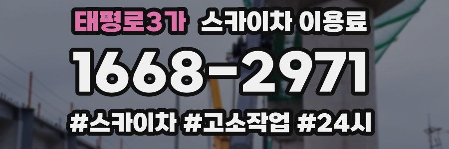 태평로3가 스카이차 이용료
