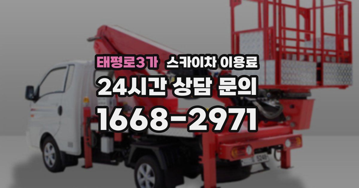 태평로3가 스카이차 이용료