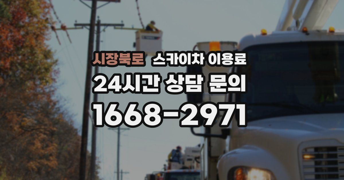 시장북로 스카이차 이용료