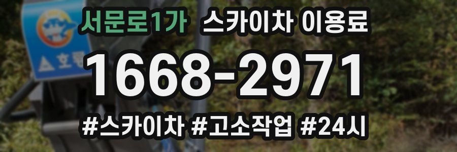 서문로1가 스카이차 이용료