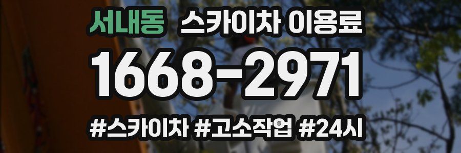 서내동 스카이차 이용료