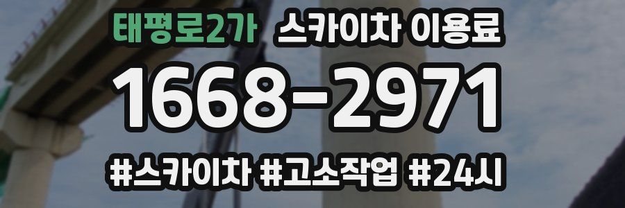 태평로2가 스카이차 이용료