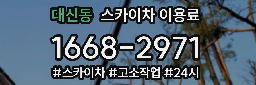 대신동 스카이차 이용료