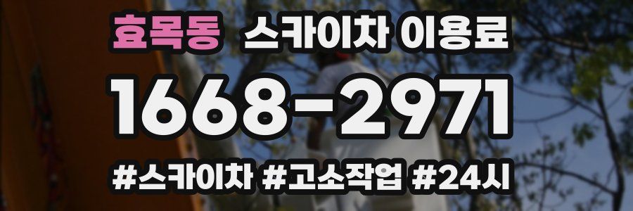 효목동 스카이차 이용료
