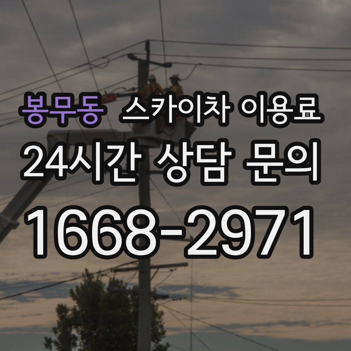 봉무동 스카이차 이용료