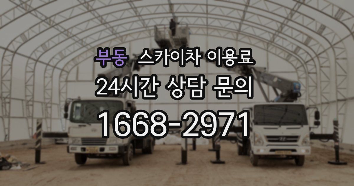 부동 스카이차 이용료
