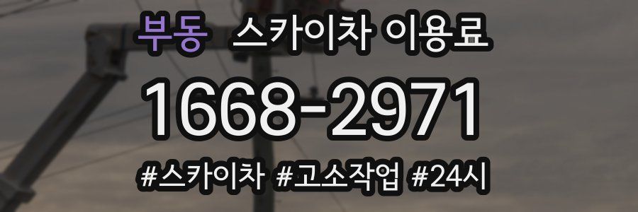 부동 스카이차 이용료