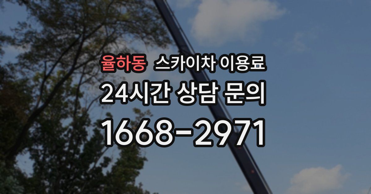 율하동 스카이차 이용료