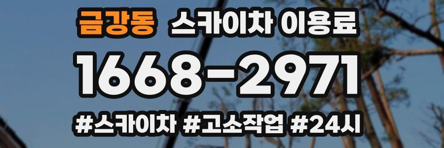 금강동 스카이차 이용료