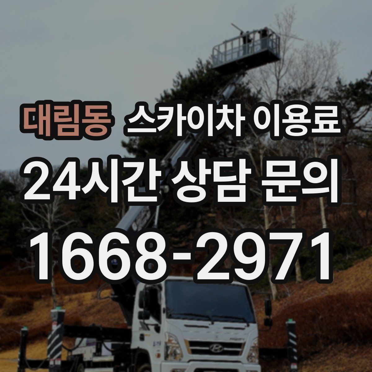 대림동 스카이차 이용료