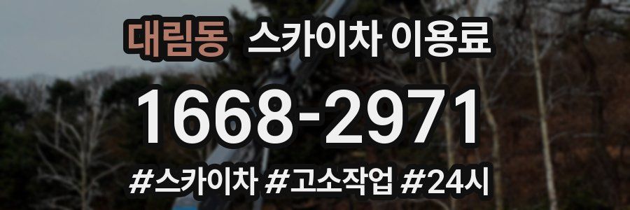 대림동 스카이차 이용료