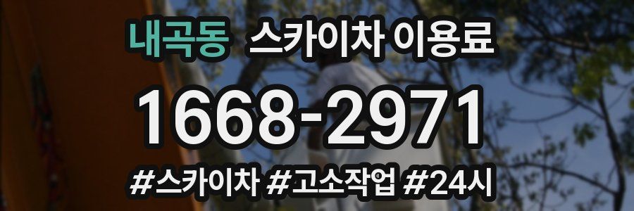 내곡동 스카이차 이용료