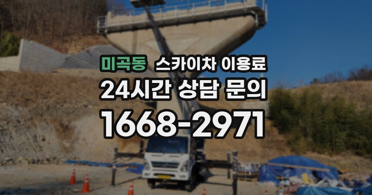 미곡동 스카이차 이용료