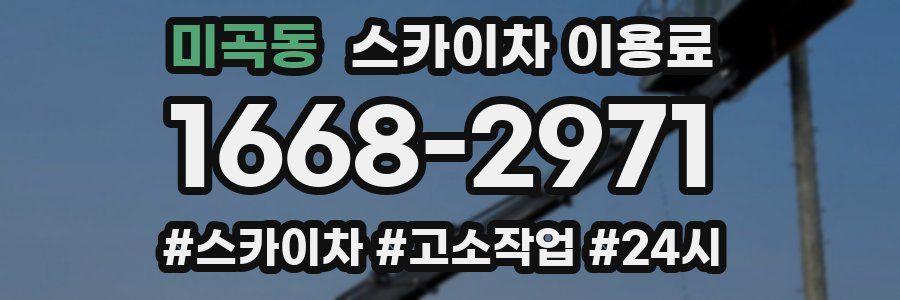 미곡동 스카이차 이용료