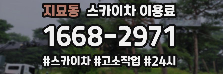 지묘동 스카이차 이용료