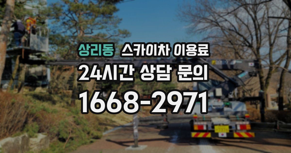 상리동 스카이차 이용료