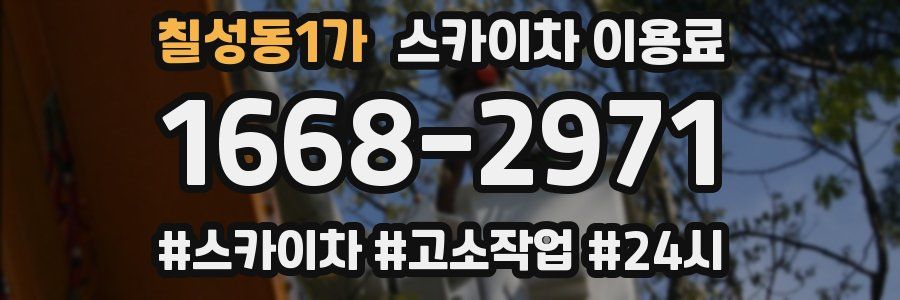 칠성동1가 스카이차 이용료