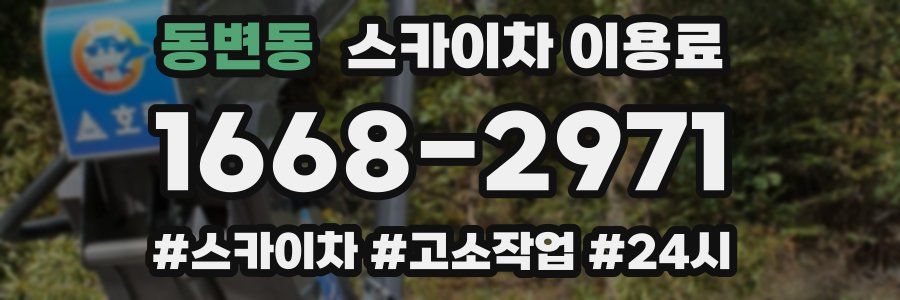 동변동 스카이차 이용료