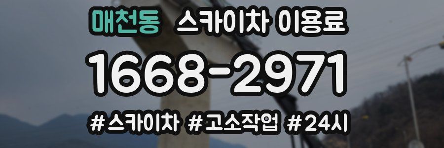 매천동 스카이차 이용료